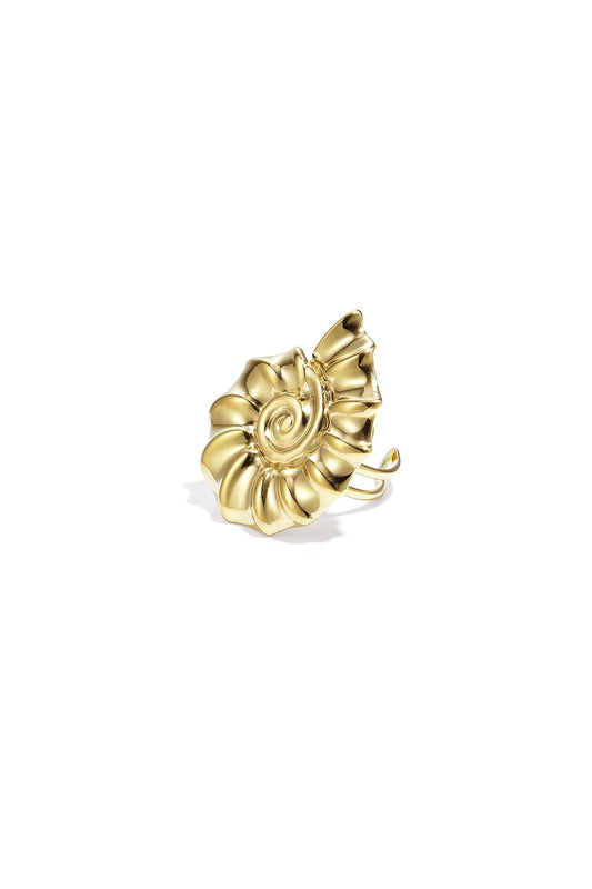 Ring Kae